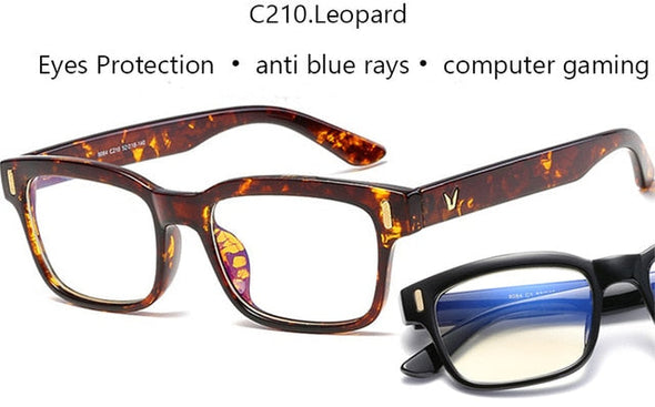 Computer Glasses